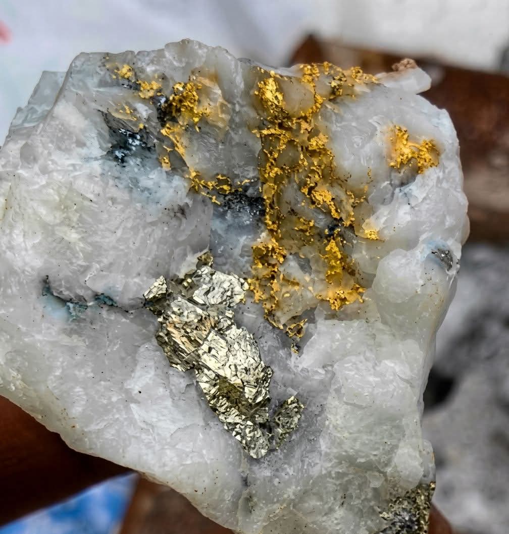 Gold-bearing quartz sample